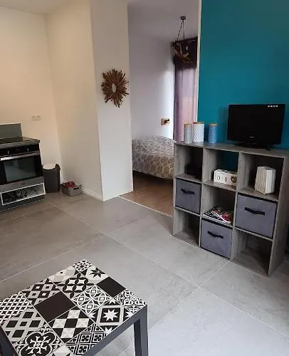 Logement Au Calme Sur Le Bassin D Arcachon Дом отдыха Ле-Теш